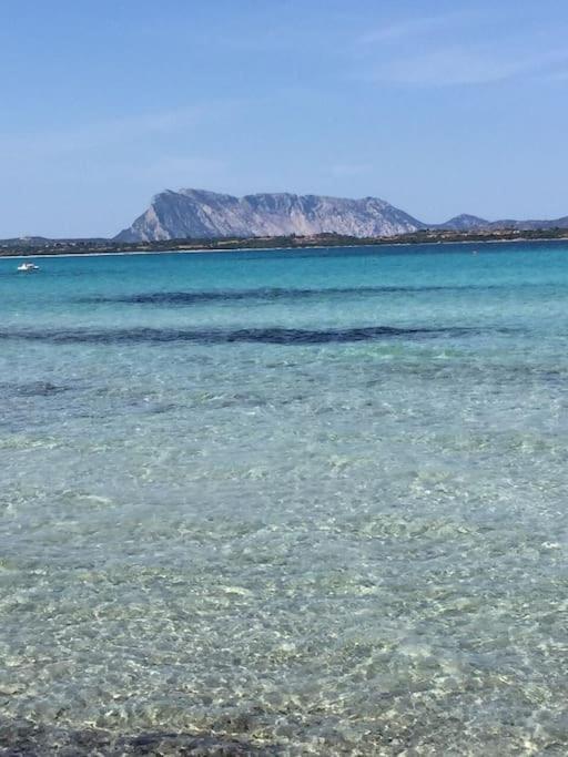 Camera Sole Olbia Zewnętrze zdjęcie