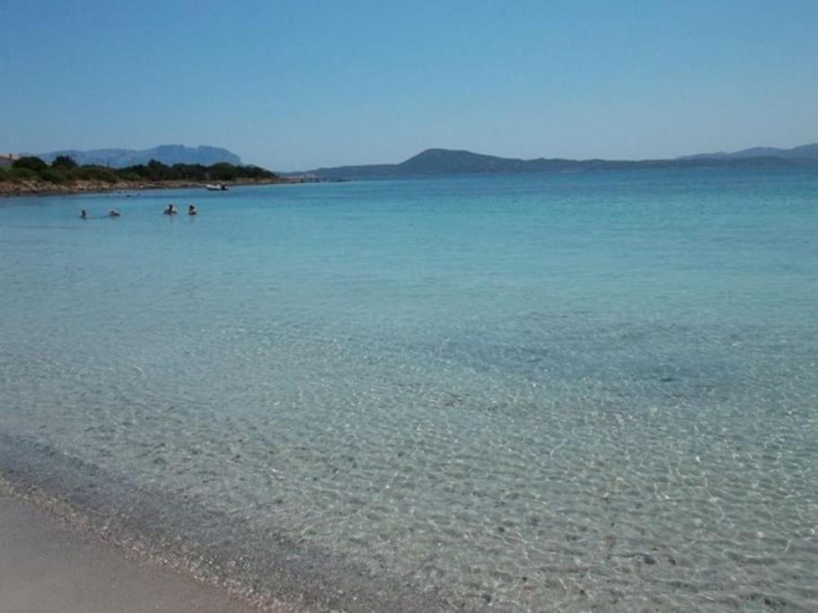 Camera Sole Olbia Zewnętrze zdjęcie